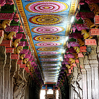 Buy canvas prints of The Hall of One Thousand Pillars Inside the Meenak by Colin Woods