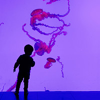 Buy canvas prints of Jellyfish Tank Toronto Aquarium by Colin Woods