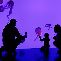 Buy canvas prints of Jellyfish Tank Toronto Aquarium by Colin Woods