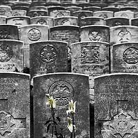 Buy canvas prints of WW1 Graves by Colin Woods