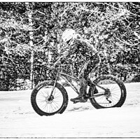 Buy canvas prints of Fatbiking in Quebec by Colin Woods