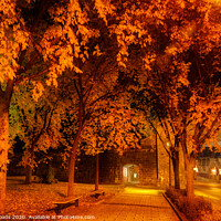 Buy canvas prints of Porte St Louis, Quebec City, at night in autumn by Colin Woods