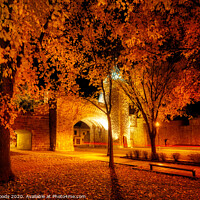Buy canvas prints of Porte St Louis, Quebec City, at night in autumn by Colin Woods