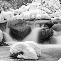 Buy canvas prints of Fresh snow by a river in Quebec, Canada by Colin Woods