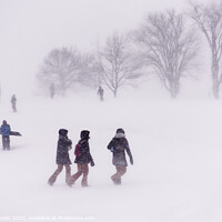 Buy canvas prints of People outside ina blizzard in Quebec by Colin Woods