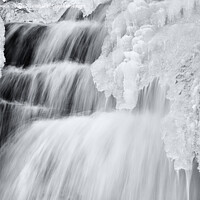 Buy canvas prints of Icicles forming in a waterfall in Quebec, Canada by Colin Woods