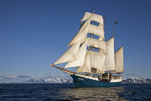 Tall Ship Antigua at Svalbard Picture Board by Arterra 