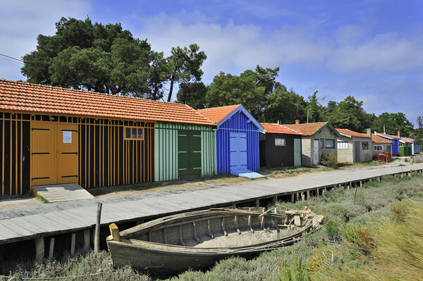 La Baudissiere at Ile d'Oleron, France Picture Board by Arterra 