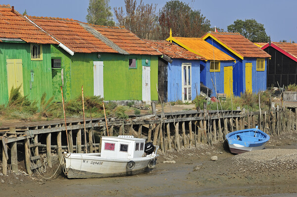 Harbour at Le Chateau-d'Oleron, France Picture Board by Arterra 
