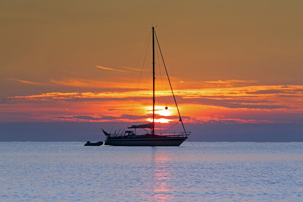 Sailing Boat at Sunset Picture Board by Arterra 