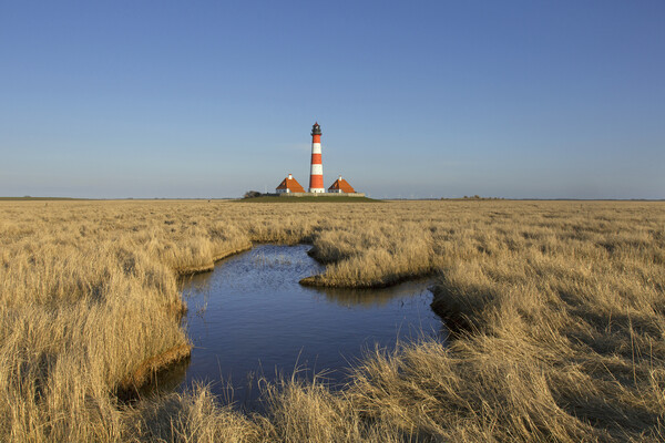 Westerhever Lighthouse, Wadden Sea Picture Board by Arterra 