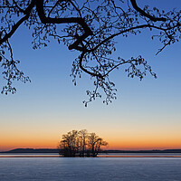 Buy canvas prints of Silhouette of Tree in Winter by Arterra 
