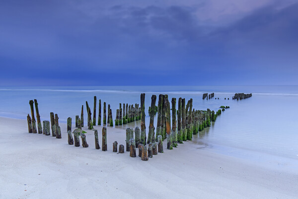 Old Wooden Groyne on Sylt, Germany Picture Board by Arterra 