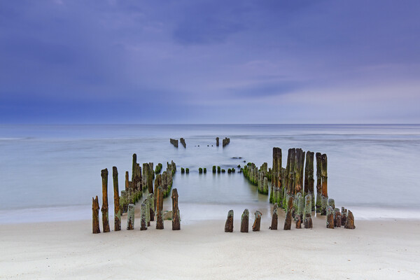 Old Wooden Groyne at Sunset Picture Board by Arterra 