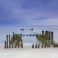 Buy canvas prints of Old Wooden Groyne at Sunset by Arterra 