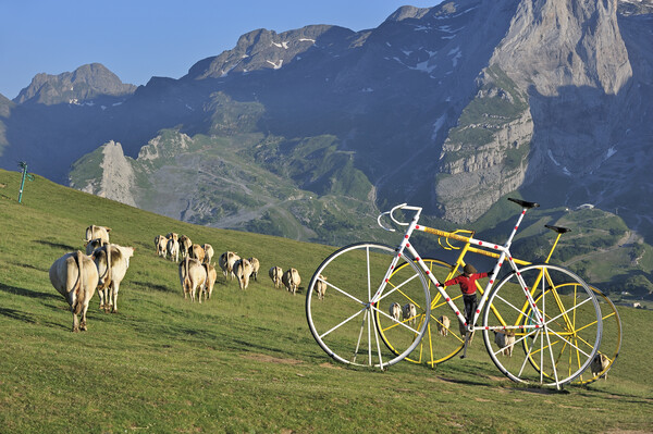 Col d'Aubisque, Pyrenees Picture Board by Arterra 