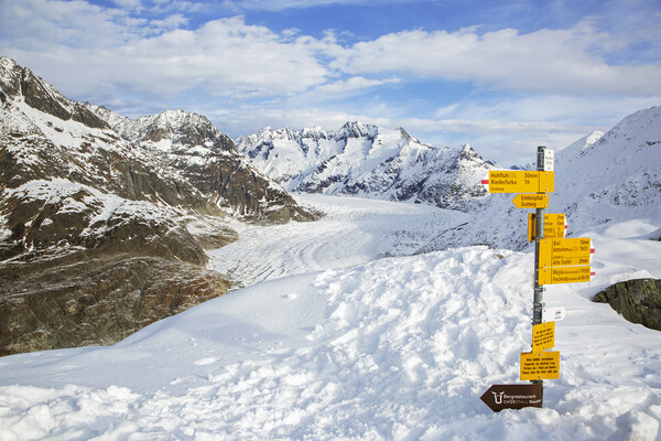 Aletsch Glacier and Signpost, Switzerland Picture Board by Arterra 