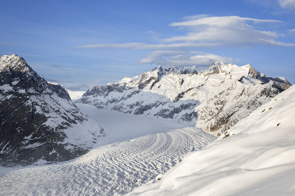 Aletsch Glacier in Winter, Switzerland Picture Board by Arterra 