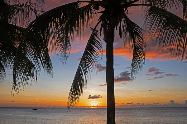 Caribbean Sea at Sunset Picture Board by Arterra 