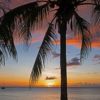 Buy canvas prints of Caribbean Sea at Sunset by Arterra 