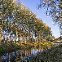 Buy canvas prints of Trees along the Schipdonk Canal, Damme by Arterra 
