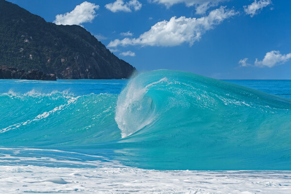 Big Wave in the Caribbean Sea Picture Board by Arterra 