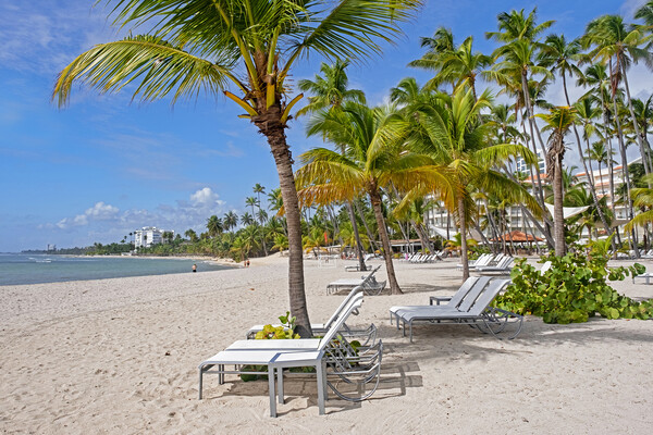 Playa Hemingway, Dominican Republic Picture Board by Arterra 