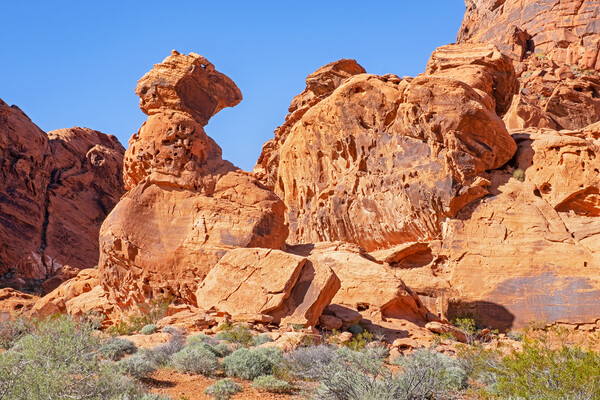 Valley of Fire State Park, Nevada Picture Board by Arterra 