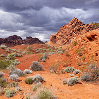 Buy canvas prints of Valley of Fire State Park, Nevada by Arterra 