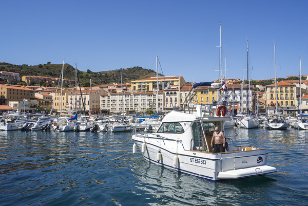 Harbour at Port-Vendres, France Picture Board by Arterra 