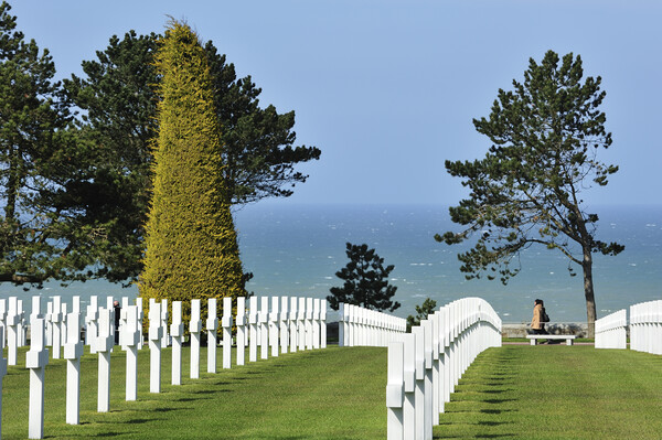 Normandy American Cemetery and Memorial Picture Board by Arterra 