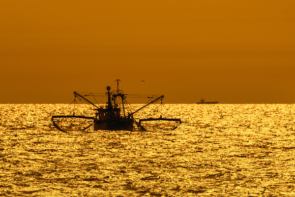 Bottom Trawler at Sunset Picture Board by Arterra 