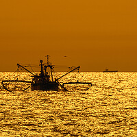 Buy canvas prints of Bottom Trawler at Sunset by Arterra 