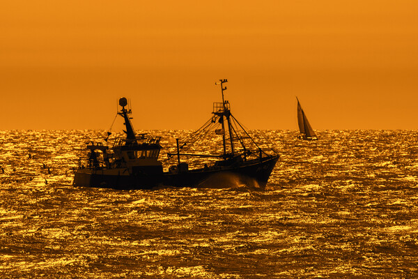 Trawler Fishing Boat at Sunset Picture Board by Arterra 