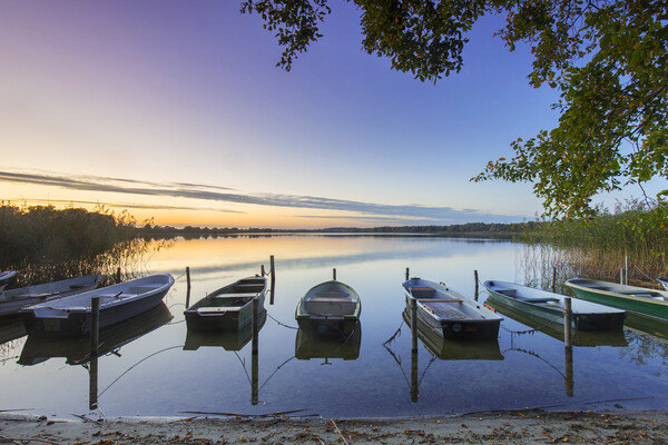 Rowing boats on Lake Mechow, Germany Picture Board by Arterra 