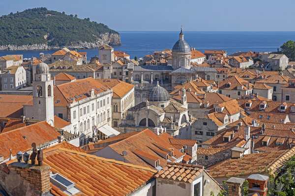 Old Town of Dubrovnik Picture Board by Arterra 