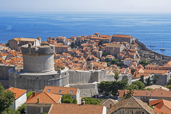 City Dubrovnik in Croatia Picture Board by Arterra 
