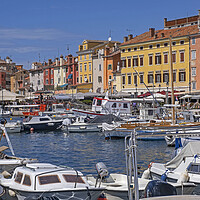 Buy canvas prints of Harbour of Rovinj, Croatia by Arterra 
