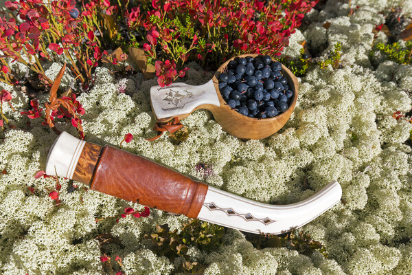 Sami Knife and Harvested Blueberries Picture Board by Arterra 