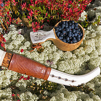 Buy canvas prints of Sami Knife and Harvested Blueberries by Arterra 