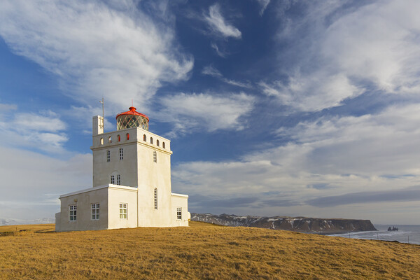 Dyrholaey Lighthouse, Iceland Picture Board by Arterra 