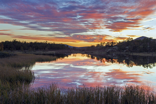 Fokstumyra Nature Reserve at Sunset, Norway Picture Board by Arterra 