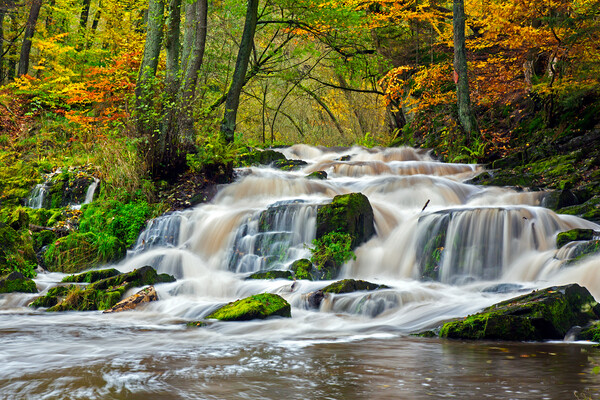 Waterfall in Autumn Forest Picture Board by Arterra 