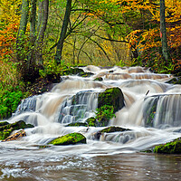 Buy canvas prints of Waterfall in Autumn Forest by Arterra 