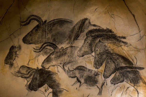 Chauvet Cave Picture Board by Arterra 