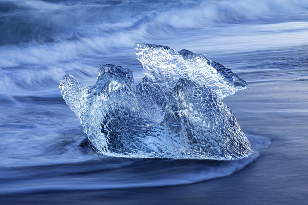 Melting Ice along the Atlantic Ocean Coast Picture Board by Arterra 