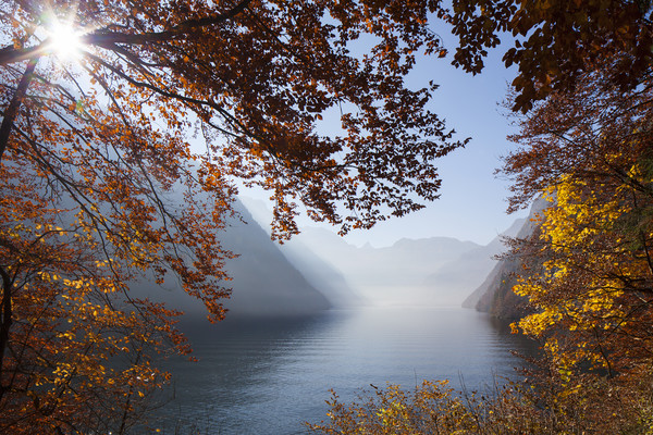 Lake Königssee in Autumn Picture Board by Arterra 