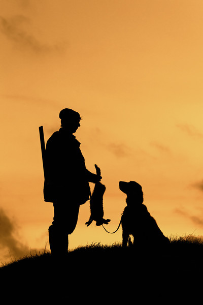 Hunter with Dog at Sunset Picture Board by Arterra 