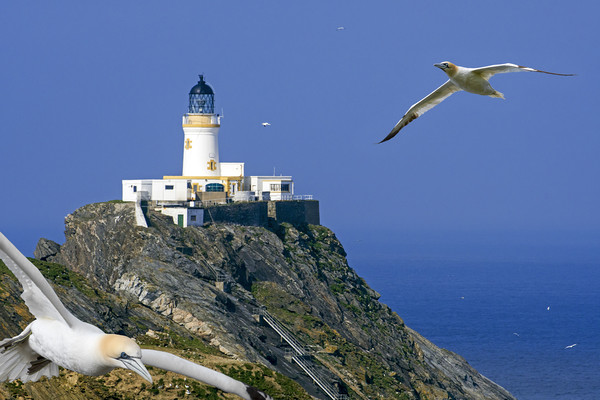Muckle Flugga Lighthouse, Shetland Picture Board by Arterra 