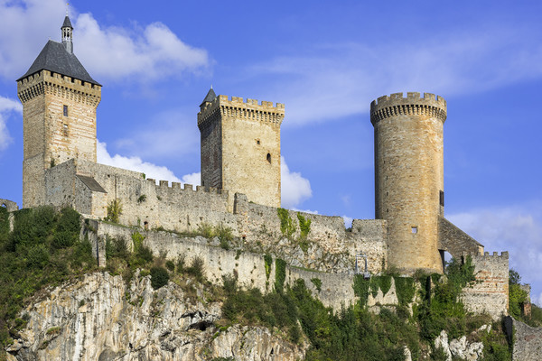 Château de Foix, France Picture Board by Arterra 